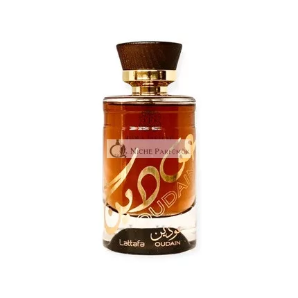 OUDAIN Eau de Parfum für Männer und Frauen, 100ml