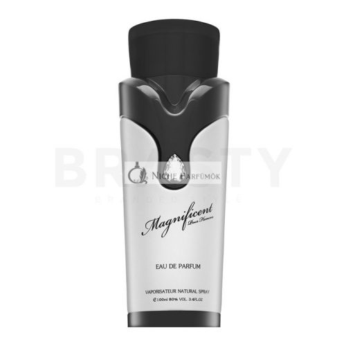Armaf Magnificent Pour Homme Eau de Parfum für Herren 100 ml