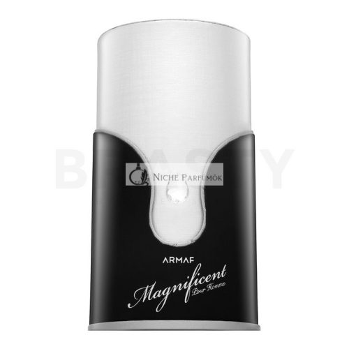 Armaf Magnificent Pour Homme Eau de Parfum férfiaknak 100 ml