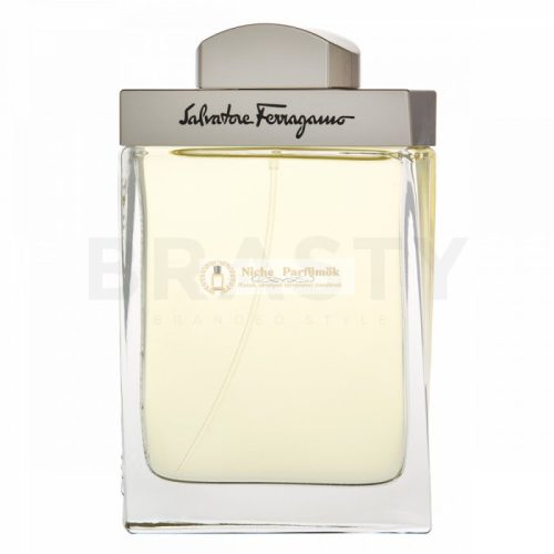 Salvatore Ferragamo Pour Homme Eau de Toilette férfiaknak 100 ml