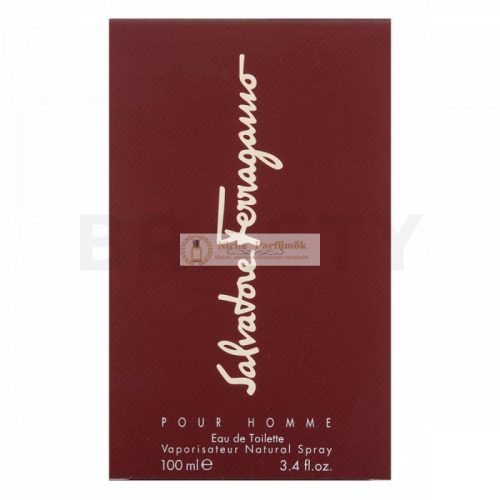 Salvatore Ferragamo Pour Homme Eau de Toilette férfiaknak 100 ml