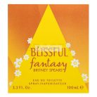 Britney Spears Fantasy Blissful Eau de Toilette für Damen 100 ml