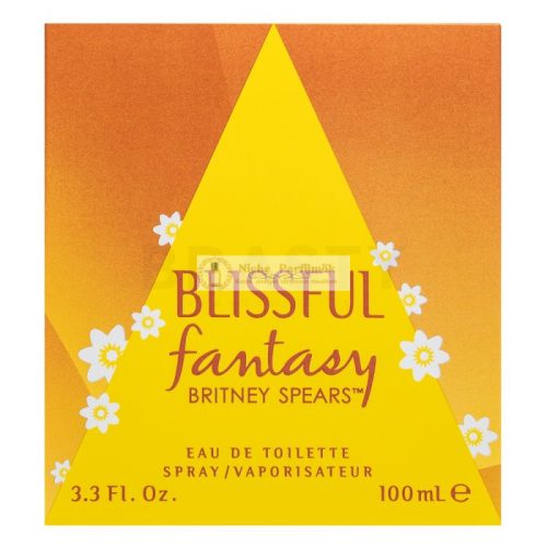 Britney Spears Fantasy Blissful Eau de Toilette für Damen 100 ml