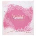 Britney Spears Fantasy Intimate Edition Eau de Parfum für Damen 100 ml