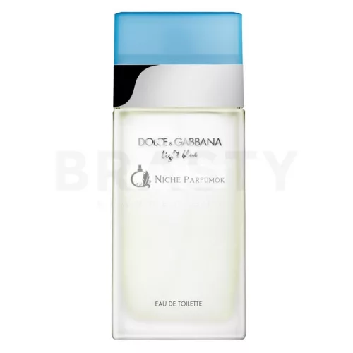 Dolce & Gabbana Light Blue Eau de Toilette für Damen 100 ml