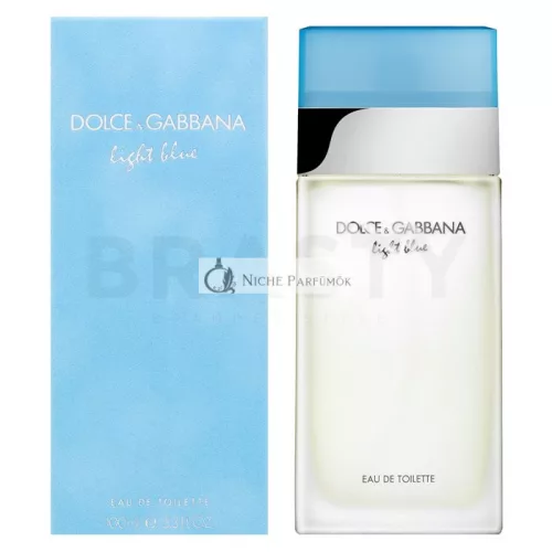 Dolce & Gabbana Light Blue Eau de Toilette für Damen 100 ml