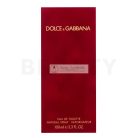 Dolce & Gabbana Femme Eau de Toilette für Damen 100 ml