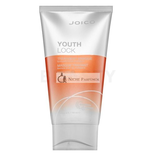 Joico Youth Lock Treatment Mask Haarmaske für Schutz und Glanz des Haares 150 ml