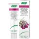A.Vogel Comfrey Symphytum Krém Nappali és Éjszakai Krém 35g