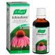 Bioforce Echinaforce 50ml