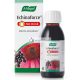 A.Vogel Echinaforce Heißgetränk 100ml