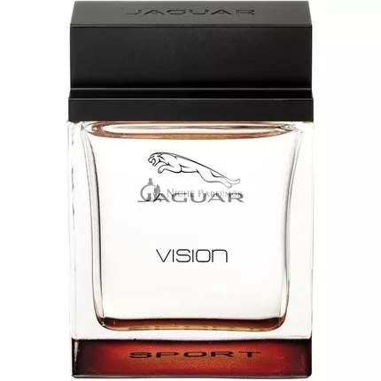 Jaguar Vision Sport Eau De Toilette Spray für Männer, 100ml