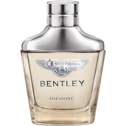 Bentley Infinite Eau de Toilette 100 ml
