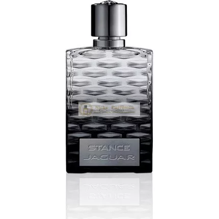 Jaguar Stance Eau De Toilette für Männer, 100ml