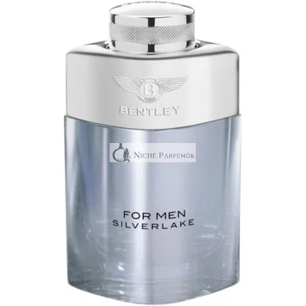 Bentley For Men Silverlake Eau De Parfum, 100ml
