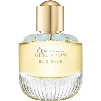 Girl of Now von Elie Saab Eau de Parfum für Frauen, 50ml