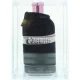 Iceberg Since 1974 Eau de Parfum für Sie, 100ml