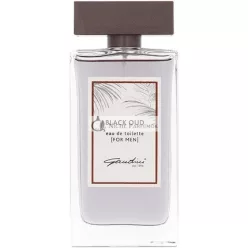 Gandini Black Oud Homme Edt 100ml