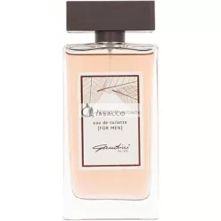 Gandini Tabacco For Men Eau de Toilette, 100ml
