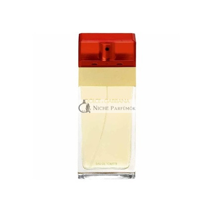 Dolce & Gabbana Eau De Toilette Spray für Frauen 100 ml