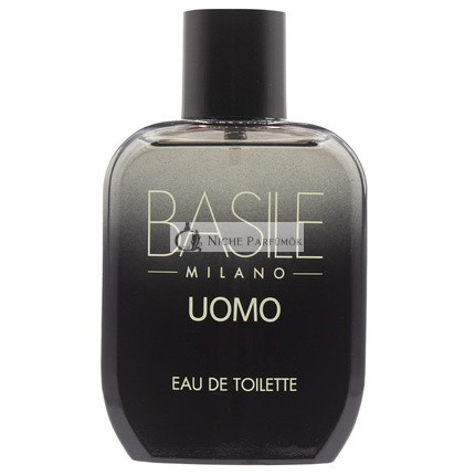 BASILE Herren EDT 100ml Eau de Toilette mit Raffinierten und Eleganten Noten