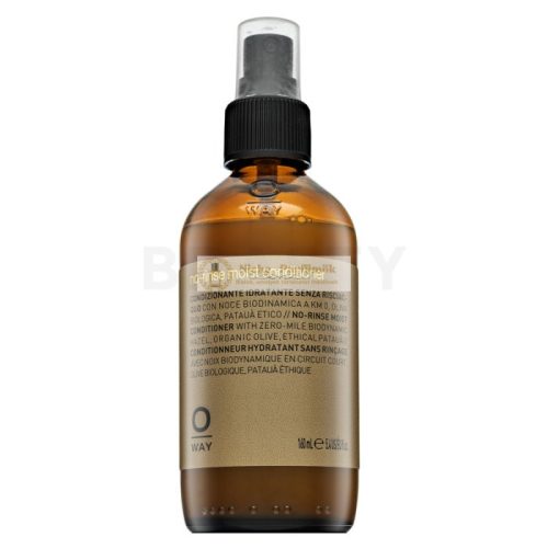 OWAY No-rinse Moist Conditioner öblítés nélküli kondicionáló haj hidratálására 160 ml