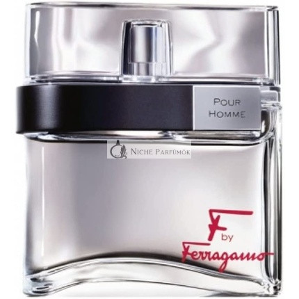 Salvatore Ferragamo F by Ferragamo Pour Homme Eau de Toilette für Herren 100 ml