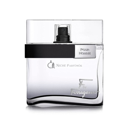 Salvatore Ferragamo F Black Pour Homme Eau de Toilette Spray, 100ml