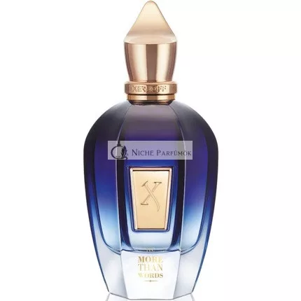 Xerjoff More Than Words Eau de Parfum unisex 100 ml