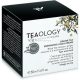 Teaology Tea Infusion Bőrápoló Gyömbér Tea Energizáló Aqua Krém, 50ml