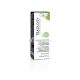 Teaology Matcha Tee Frischecreme 30ml