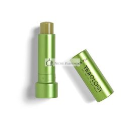   Teaology Matcha Lippenbalsam - Getönte Lippenpflege mit Antioxidativem Teextrakt, 23g