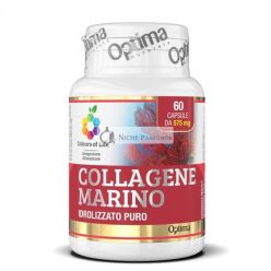   Reines hydrolysiertes maritimes Kollagen glutenfreies Supplement 60 Kapseln