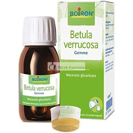 Boiron Betula Wart Glycerin-Mazerat 60ml
