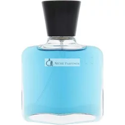Capucci Blu Water Eau De Parfum, 100ml