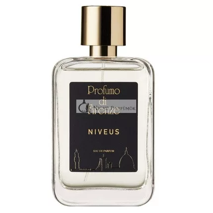Niveus Parfüm Spray 100ml