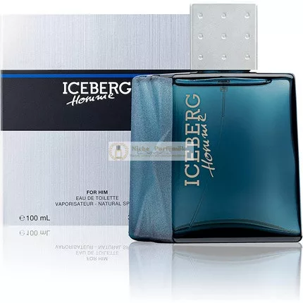 Iceberg Homme 100ml EDT Spray