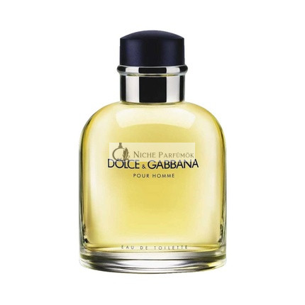 Dolce & Gabbana Pour Homme Eau de Toilette férfiaknak, 200ml