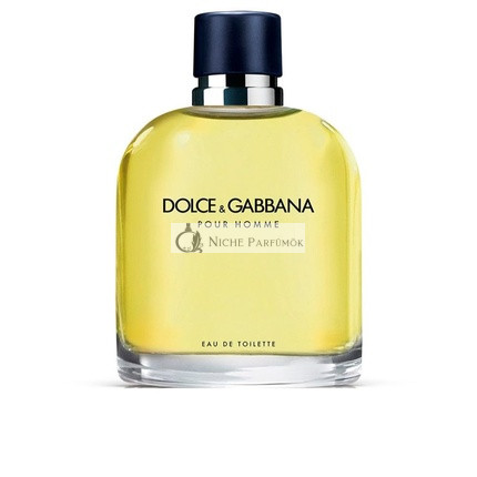 Dolce & Gabbana Pour Homme Eau de Toilette Férfi Illat, 125ml