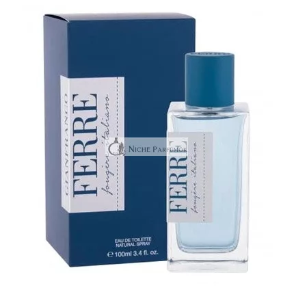 Gianfranco Ferré Fougere Italiano Eau de Toilette für Herren 100 ml