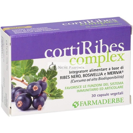 Corti Ribes Complex 30 Kapszula