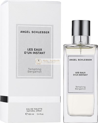 Angel Schlesser Instant Tempting Bergamont Wasserfarben Geschenkset, 100ml