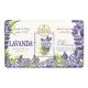 Nesti Dante Dei Colli Fiorentina szappan Triple Milled Vegetal Soap Tuscan Lavender 250 g
