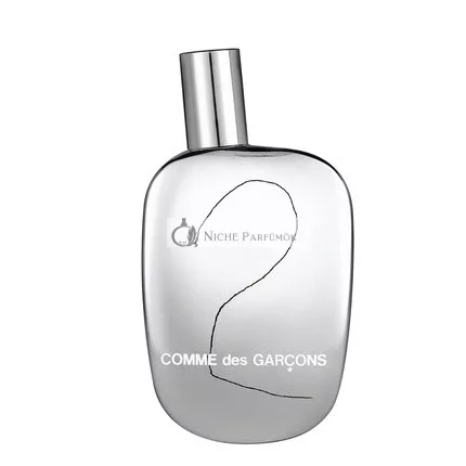 Comme Des Garcons 2 Eau de Parfum Spray, 100ml