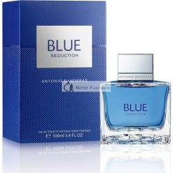   Antonio Banderas Blue Seduction Eau de Toilette für Herren, 100ml