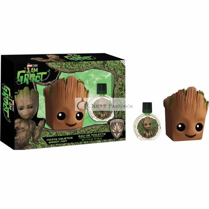Air Val Set Groot Férfi EDT, 50 ml