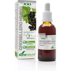 Fekete Ribizli Formula XXI Természetes Kivonat 50 ml