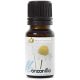 Nutricosmetics Planta Pol Kamille ätherisches Öl 12ml