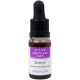 Nirvana Spa Essentieller Rosmarin 10ml