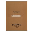 Loewe Un Balcón Sobre El Paseo Del Prado Eau de Parfum unisex 100 ml
